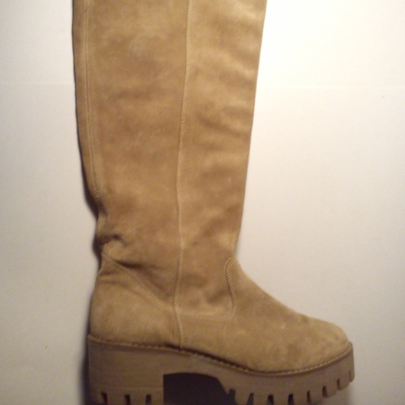 Falabella Americanino - Picture 1 of 8